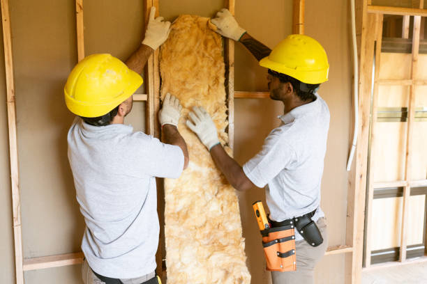 Best Insulation Removal  in Fox Island, WA